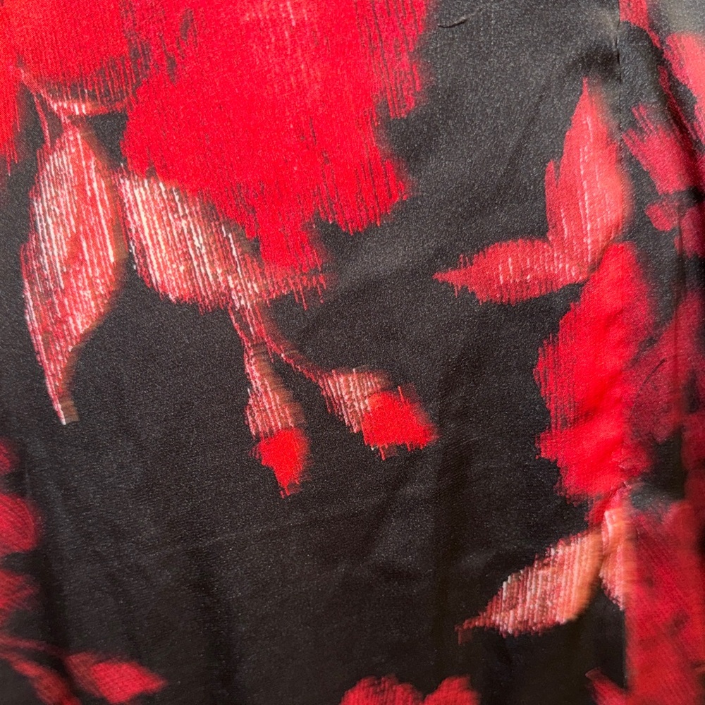 Chetta B Black Maxi Dress with Red Floral Print - Picture 7 of 9